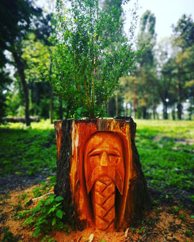 tree